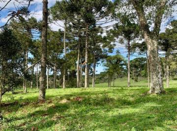 Foto 05 · Chácara, Campestre, Campo Alegre, SC