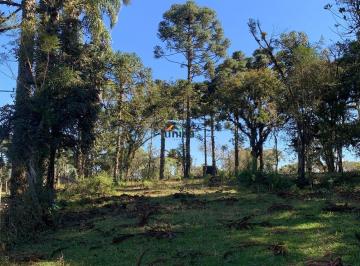 Foto 01 · Chácara, Campo Alegre, Campo Alegre, SC