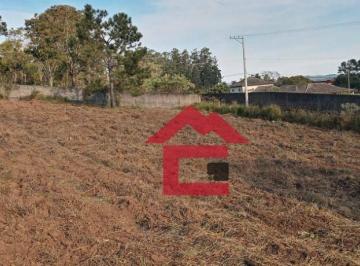 d4b04bd8213bd1a0854535ad5061b0dab4482577 · São Roque - Roteiro do vinho, área com 7.000 metros todo limpo e riacho nos fundos.