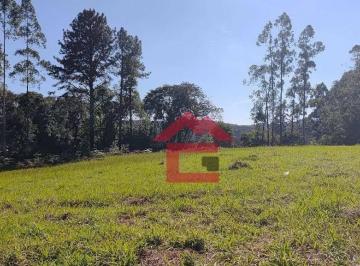 c8931bbf377f5fbce9e4a9b5d90ff6f16fdde5bb · Terreno à venda, 5000 m² - Centro (Canguera) - São Roque/SP