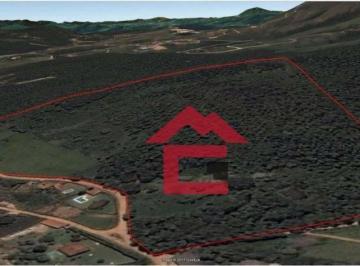 6710f88f30607c770996f66ff616d24629696245 · Fazenda à venda, 318000 m² por R$ 3.700.000,00 - Canguerinha - Mairinque/SP