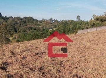 c76e5bf0a4af89cf01ad462a40235a36effcb01d · Terreno à venda, 7000 m² por R$ 780.000,00 - Centro (Canguera) - São Roque/SP