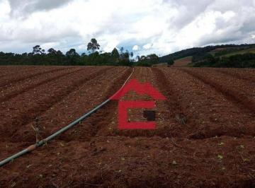 a4ede8733c566e801c42b0d0276c611a6404a74b · Área à venda, 411400000 m² por R$ 3.000.000,00 - Cocais - Ibiúna/SP