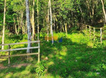 113bxy02otbiotuwnjeymwri_md · 20.432m² em São Pedro de Alcântara – Vista Deslumbrante e Natureza Preservada