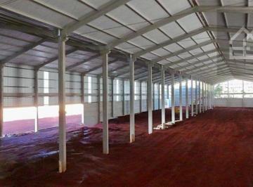 ad1bc7bb9ee55eb4ef0689f1070ccde786d2cc66 · Barracão para alugar, 4000 m² por R$ 75.000/mês - Morumbi - Cascavel/PR