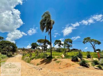 202411271308376233.jpg · Terreno para Venda em Pinhalzinho, .
