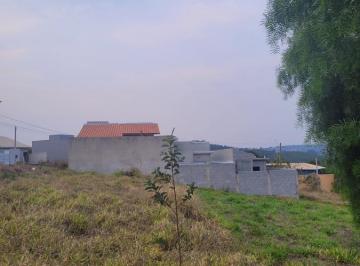 202410101002006780.jpg · Terreno para Venda em Pinhalzinho, .