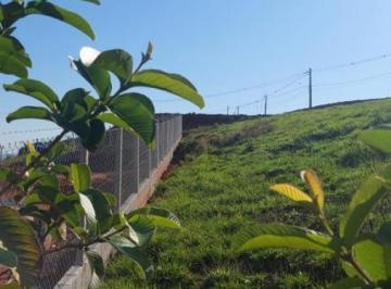 20230525070922130.jpg · Terreno para Venda em Pinhalzinho, Vento forte