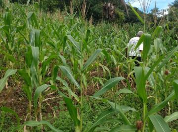 Rural de 1 quarto, Colinas do Sul · ÓTIMO SÍTIO NA REGIÃO DA CHAPADA DOS VEADEIROS