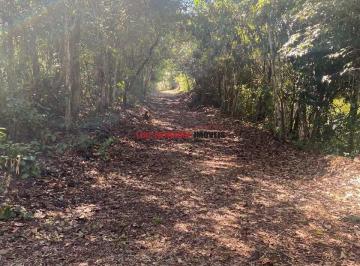 ILH_1011_2025-10-13_16-18-38.jpg · Venda, Rodovia MG10, , Zona Rural, Jaboticatubas, MG, Brasil