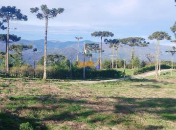 ei8pta2ogviyjlmnzljyzdi_md · Sitio terreno, sitio, maravilhosa área no Morro da Igreja em Urubici- SC