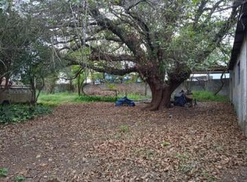 Foto 13 · Oportunidade única: Terreno à venda em São Paulo-SP, Chácara Santa Etelvina, com 1.824,00 m² de área