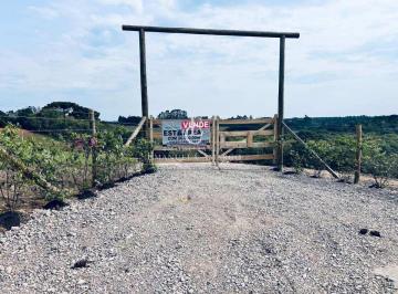 Rural , Piraquara · Área a venda em Piraquara-PR