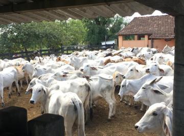Terreno · 251m² · Propriedade Rural em Banqueiros  -  Araruama