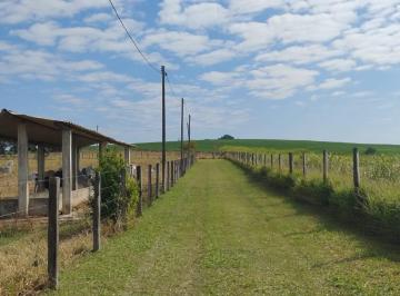 Rural , Capela do Alto · SÍTIO À VENDA com 28 Alqueires entre Araçoiaba da Serra e Capela do Alto/SP