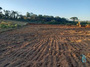 Foto 01 · Área localizada ao lado centro de Mandirituba, com 6.000 mil m², dentro perímetro urbano