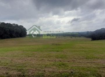 7564261.jpg · CHÁCARA - ARAUCÁRIA - LAGOA SUJA