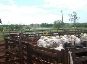 9dd990406929329095b4c8985d225fbbc189d98f · Fazenda dupla aptidão 2120 HA à venda em Mundo Novo Goiás!