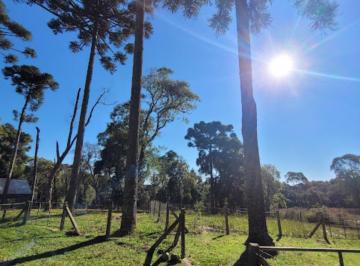 Foto 03 · Terreno, Campestre, Campo Alegre, SC
