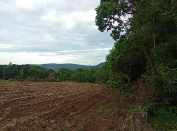 558037.jpg · Sitio - Bairro Linha Marcondes