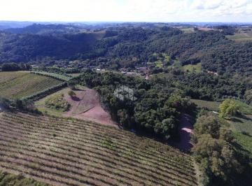 716036_i51r2Kn_71603668ed9ff415f60.jpg · Terreno com 20.000 m² - Linha Palmeiro, Pinto Bandeira/RS