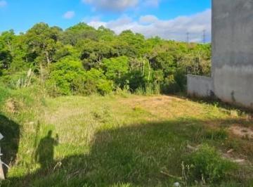 202510211836145188.jpg · Lote para Venda em Almirante Tamandaré, Jardim Giannini