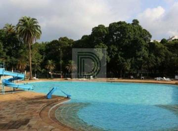 Apartamento · 68m² · 3 Quartos · 1 Vaga · APARTAMENTO CONDOMÍNIO CLUBE NA VILA SONIA - AVENIDA ELISEU DE ALMEIDA