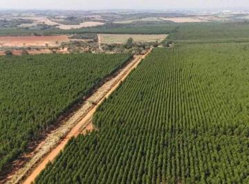 Rural · 777m² · EXCELENTE FAZENDA COM EUCALIPTO A VENDA EM ITU SP - AS1