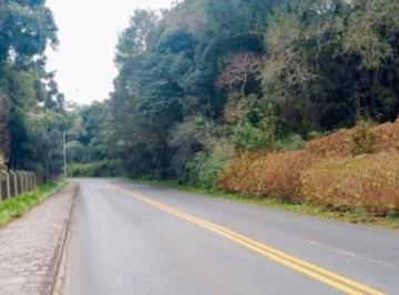 Terreno · 20000m² · OPORTUNIDADE RARA EM CAMPO LARGO!