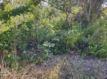 81fb0939699cea4af5d11402bc6674ed9fc7bf58 · Terreno à venda, 1000 m² por R$ 150.000,00 - Condomínio Vale do Luar - Jaboticatubas/MG
