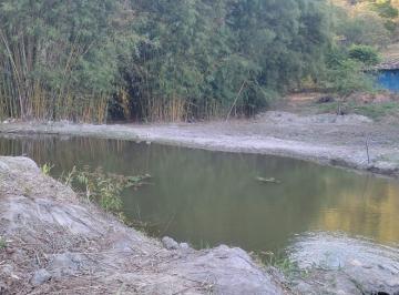 Foto 01 · CHÁCARA 5.000m² PLANA C/ LAGOA DE PEIXES E TERRA DE CULTURA À VENDA EM PIRACEMA/MG