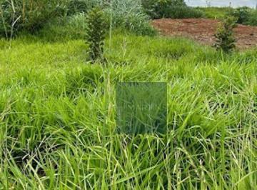 8e9aaf1130c401cd3793fba77f3751bb97af1908 · Terreno Rural à venda, Jardim Gauchinha, Várzea Paulista - TE0178.