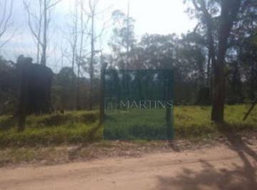 6a812453c3b85d2061ed9049e5c94455b2b7c8ec · Terreno Rural à venda, Pau Arcado, Campo Limpo Paulista - TE0177.
