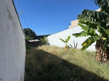 Foto 01 · Terreno - Vila Martins