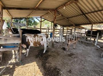 Rural · 65000m² · 4 Quartos · 10 Vagas · Lindo Sítio em Desterro de Entre Rios com 6,5 Hectares