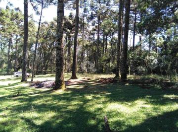 718326_i8669K2hUL3_71832668f7873662d3a.jpg · Terreno no Caracol com 750m², em Canela