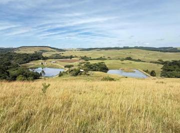 Rural · 28m² · 3 Quartos · Chácara | 03 Dormitórios | Vila Seca
