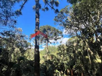 Terreno · 600m² · Lote em  Rua 6 Alpes - Alpes - São Francisco de Paula/RS