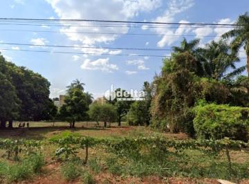 Terreno · 5355m² · Terreno disponível para venda no bairro Novo Mundo em Uberlândia MG