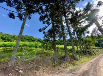 Rural · ÁREA DE TERRAS COM DUAS CASAS
