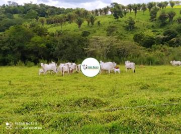 Rural , Anápolis · Fazenda a venda em Anápolis-GO - 1.487 HA - 2.500 pastos para bois - Boa de água
