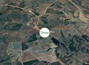 Rural , João Pinheiro · Fazenda a venda em João Pinheiro - 440 HA - Excelente oportunidade