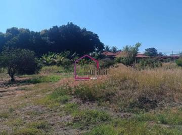 Foto 01 · Terreno, Jardim Alpino, Catanduva, SP