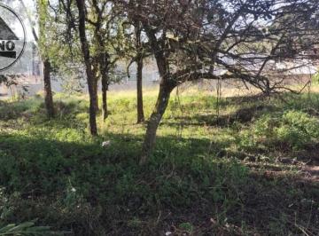 935703050.jpg · TERRENO COM 507,00M2 OTIMA REGIAO DE PIRAQUARA !!!                                                  