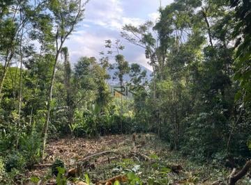 Imagem do Imóvel · TERRENO À VENDA NO MORRO DA ANITA EM UBATUBA NO BAIRRO DO ITAGUÁ