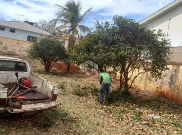 718605_iXCn97iBeE6965j_71860568fa3086e17f1.jpg · TERRENO Á VENDA 437,50 - RIBEIRANIA