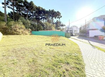 039dcd7d0c72d8a60470e06e268c45c69416bf31 · Terreno à venda, 440 m² por R$ 670.000,00 - Santa Cândida - Curitiba/PR