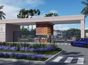 deea85d43b8a1cbcc4a15fb1a571c4cb89b34196 · Terreno à venda, 250 m² por R$ 325.000 - Centro - Piraquara/PR