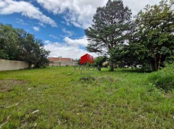 Terreno · 3300m² · Terreno com 3.300m² , à venda, no bairro Parque da Fonte em São José dos Pinhais
