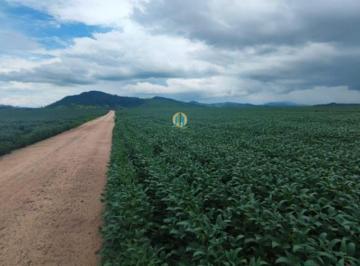 Rural · 9680m² · Fazenda à venda em Santana do Araguaia/PA